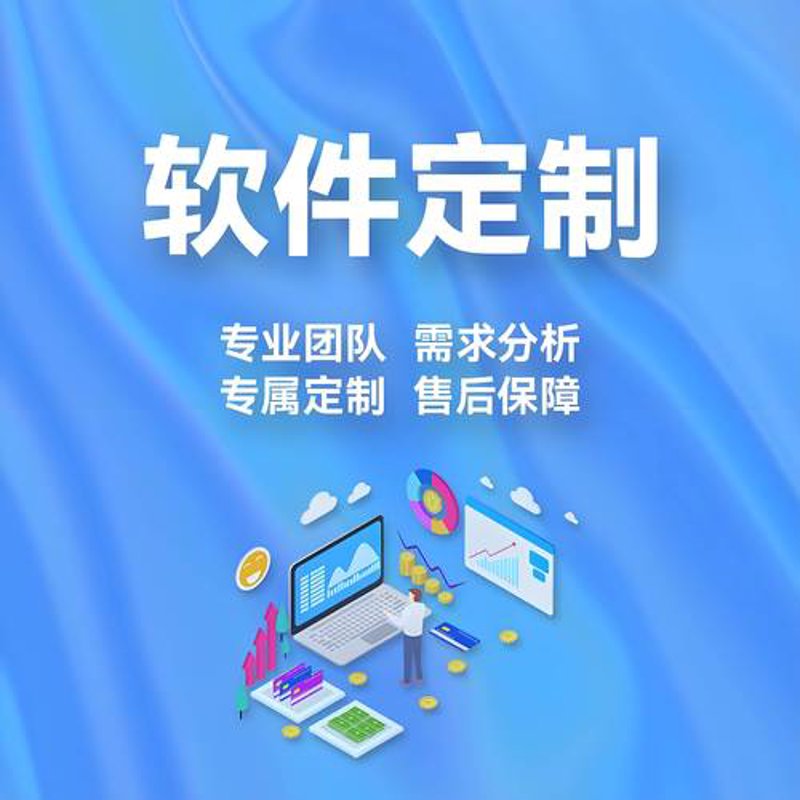 上海软件定制开发：以科技之力打造专属企业解决方案